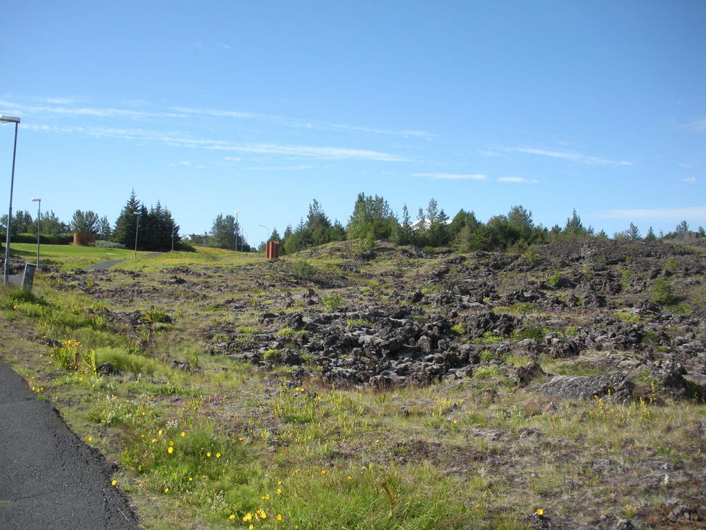 Lava Hostel Hafnarfjörður Szoba fotó